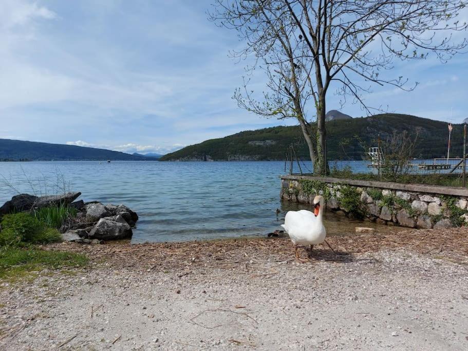 Charmant Et Spacieux Appartement A Quelques Pas Du Lac Duingt Extérieur photo